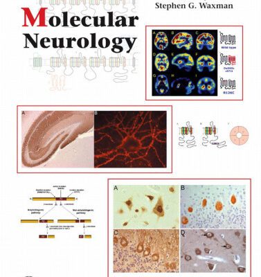 خرید و دانلود نسخه کامل کتاب Molecular Neurology