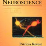 خرید و دانلود نسخه کامل کتاب Molecular neuroscience