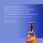 خرید و دانلود نسخه کامل کتاب Montreal Museum of Fine Arts, Collection of Mediterranean Antiquities, Vol. 1: The Ancient Glass / Musée des beaux-arts de Montréal, La collection des antiquités méditerranéennes, Vol. 1: La verrerie antique
