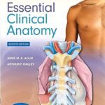 خرید و دانلود نسخه کامل کتاب Moore’s Essential Clinical Anatomy (7th Edition) –  +  Pdf