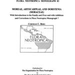 خرید و دانلود نسخه کامل کتاب Moreae, Artocarpeae, and Dorstenia (Moraceae): With Introductions to the Family and Ficus and With Additions and Corrections to Flora Neotropica Monograph 7(Flora Neotropica Mongraph No. 83)