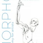 خرید و دانلود نسخه کامل کتاب Morpho: Skeleton and Bone Reference Points