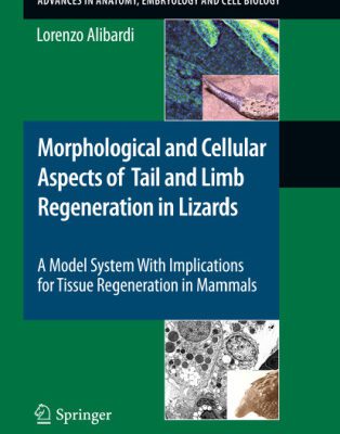 خرید و دانلود نسخه کامل کتاب Morphological and Cellular Aspects of Tail and Limb Regeneration in Lizards: A Model System With Implications for Tissue Regeneration in Mammals