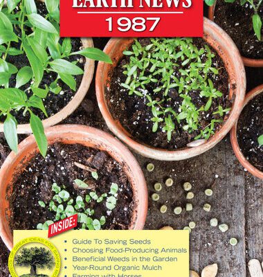 خرید و دانلود نسخه کامل کتاب Mother Earth News 1987