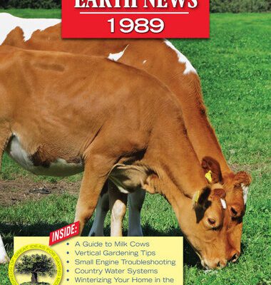خرید و دانلود نسخه کامل کتاب Mother Earth News 1989