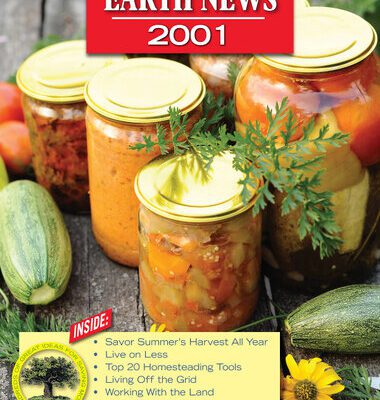 خرید و دانلود نسخه کامل کتاب Mother Earth News 2001