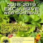 خرید و دانلود نسخه کامل کتاب Mother Earth News Exclusive Web Content 2018-2019