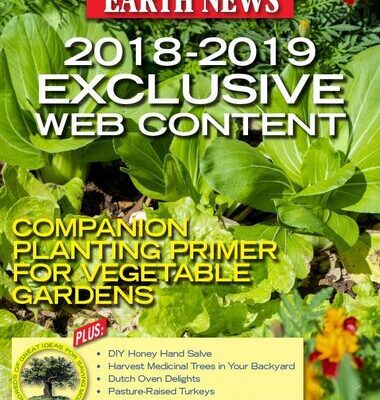 خرید و دانلود نسخه کامل کتاب Mother Earth News Exclusive Web Content 2018-2019