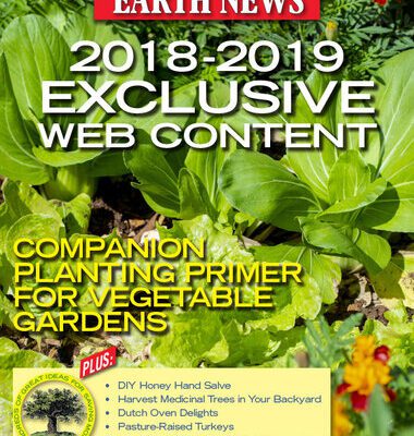 خرید و دانلود نسخه کامل کتاب Mother Earth News Exclusive Web Content 2018-2019