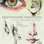 خرید و دانلود نسخه کامل کتاب Multisensory Perception: From Laboratory to Clinic