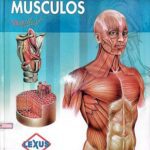 خرید و دانلود نسخه کامل کتاب Músculos