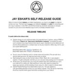خرید و دانلود نسخه کامل کتاب Music self release guide