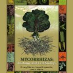 خرید و دانلود نسخه کامل کتاب Mycorrhizas: Anatomy and Cell Biology