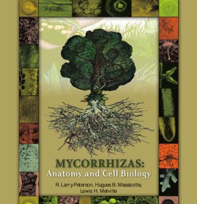 خرید و دانلود نسخه کامل کتاب Mycorrhizas: Anatomy and Cell Biology