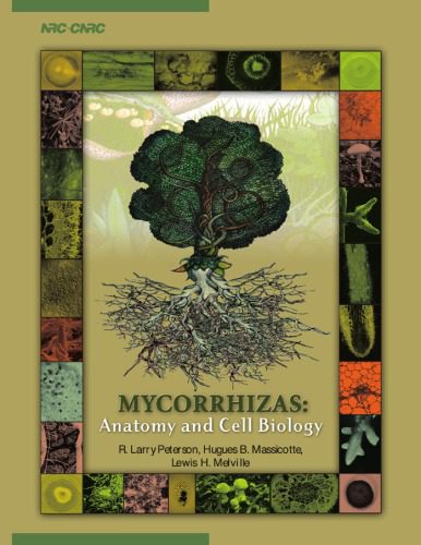 خرید و دانلود نسخه کامل کتاب Mycorrhizas: Anatomy and Cell Biology_68b94454a9af4.jpeg خرید و دانلود نسخه کامل کتاب Mycorrhizas: Anatomy and Cell Biology