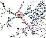 خرید و دانلود نسخه کامل کتاب MyFinalsNotes – Mind Maps for Medical Finals