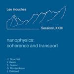 خرید و دانلود نسخه کامل کتاب Nanophysics: Coherence and Transport