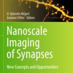خرید و دانلود نسخه کامل کتاب Nanoscale Imaging of Synapses: New Concepts and Opportunities