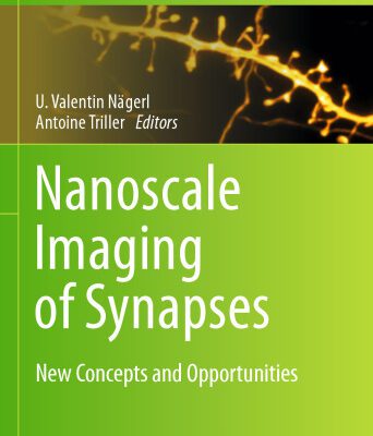 خرید و دانلود نسخه کامل کتاب Nanoscale Imaging of Synapses: New Concepts and Opportunities