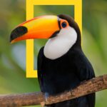 خرید و دانلود نسخه کامل کتاب National Geographic Traveler: Brazil
