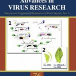 خرید و دانلود نسخه کامل کتاب Natural and Engineered Resistance to Plant Viruses, Part II