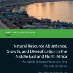 خرید و دانلود نسخه کامل کتاب Natural Resource Abundance, Growth, and Diversification in the Middle East and North Africa : The Effects of Natural Resources and the Role of Policies