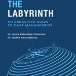 خرید و دانلود نسخه کامل کتاب Navigating the Labyrinth: An Executive Guide to Data Management – + pdf