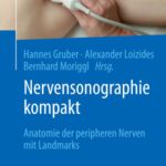 خرید و دانلود نسخه کامل کتاب Nervensonographie kompakt: Anatomie der peripheren Nerven mit Landmarks (German Edition)