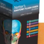 خرید و دانلود نسخه کامل کتاب Netter’s Anatomy Flash Cards: with Online Student Consult Access, 3e