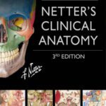 خرید و دانلود نسخه کامل کتاب Netter’s Clinical Anatomy