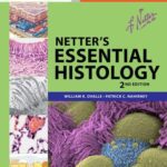 خرید و دانلود نسخه کامل کتاب Netter’s Essential Histology. Part 3