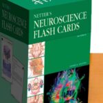 خرید و دانلود نسخه کامل کتاب Netter’s Neuroscience Flash Cards