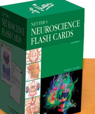 خرید و دانلود نسخه کامل کتاب Netter’s Neuroscience Flash Cards