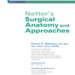 خرید و دانلود نسخه کامل کتاب Netter’s Surgical Anatomy and Approaches, 1e