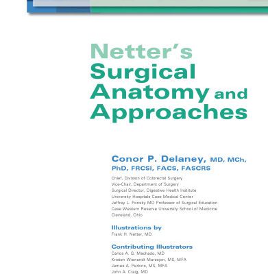 خرید و دانلود نسخه کامل کتاب Netter’s Surgical Anatomy and Approaches, 1e