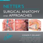 خرید و دانلود نسخه کامل کتاب Netter’s Surgical Anatomy and Approaches