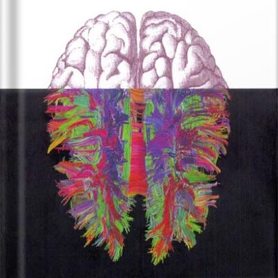 خرید و دانلود نسخه کامل کتاب Networks of the Brain by Olaf Sporns