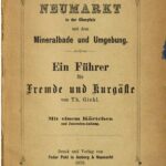 خرید و دانلود نسخه کامل کتاب Neumarkt in der Oberpfalz mit dem Mineralbade und Umgebung. Ein Führer für Fremde und Kurgäste