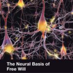 خرید و دانلود نسخه کامل کتاب Neural Basis of Free Will : Criterial Causation