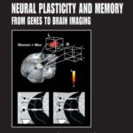خرید و دانلود نسخه کامل کتاب Neural Plasticity and Memory: From Genes to Brain Imaging (Frontiers in Neuroscience)