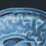 خرید و دانلود نسخه کامل کتاب Neural Plasticity: The Effects of Environment on the Development of the Cerebral Cortex