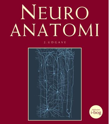 خرید و دانلود نسخه کامل کتاب Neuroanatomi