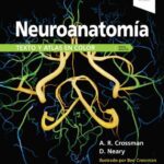 خرید و دانلود نسخه کامل کتاب Neuroanatomía. Texto y atlas en color