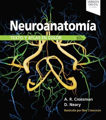 خرید و دانلود نسخه کامل کتاب Neuroanatomía. Texto y atlas en color