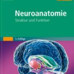 خرید و دانلود نسخه کامل کتاب Neuroanatomie: Struktur und Funktion
