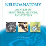 خرید و دانلود نسخه کامل کتاب Neuroanatomy: An Atlas of Structures, Sections, and Systems