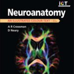 خرید و دانلود نسخه کامل کتاب Neuroanatomy: an Illustrated Colour Text