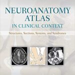 خرید و دانلود نسخه کامل کتاب Neuroanatomy Atlas in Clinical Context: Structures, Sections, Systems, and Syndromes 10th Edition
