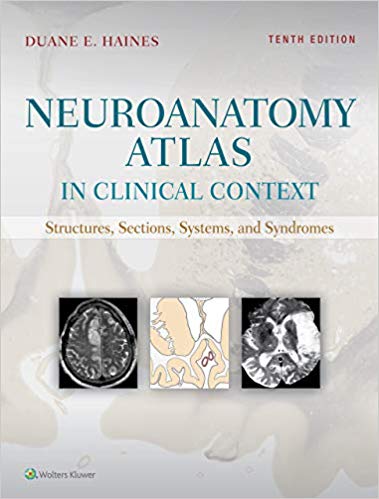 خرید و دانلود نسخه کامل کتاب Neuroanatomy Atlas in Clinical Context: Structures, Sections, Systems, and Syndromes 10th Edition_68ba2df20d3b8.jpeg خرید و دانلود نسخه کامل کتاب Neuroanatomy Atlas in Clinical Context: Structures, Sections, Systems, and Syndromes 10th Edition