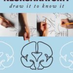خرید و دانلود نسخه کامل کتاب Neuroanatomy: Draw It to Know It